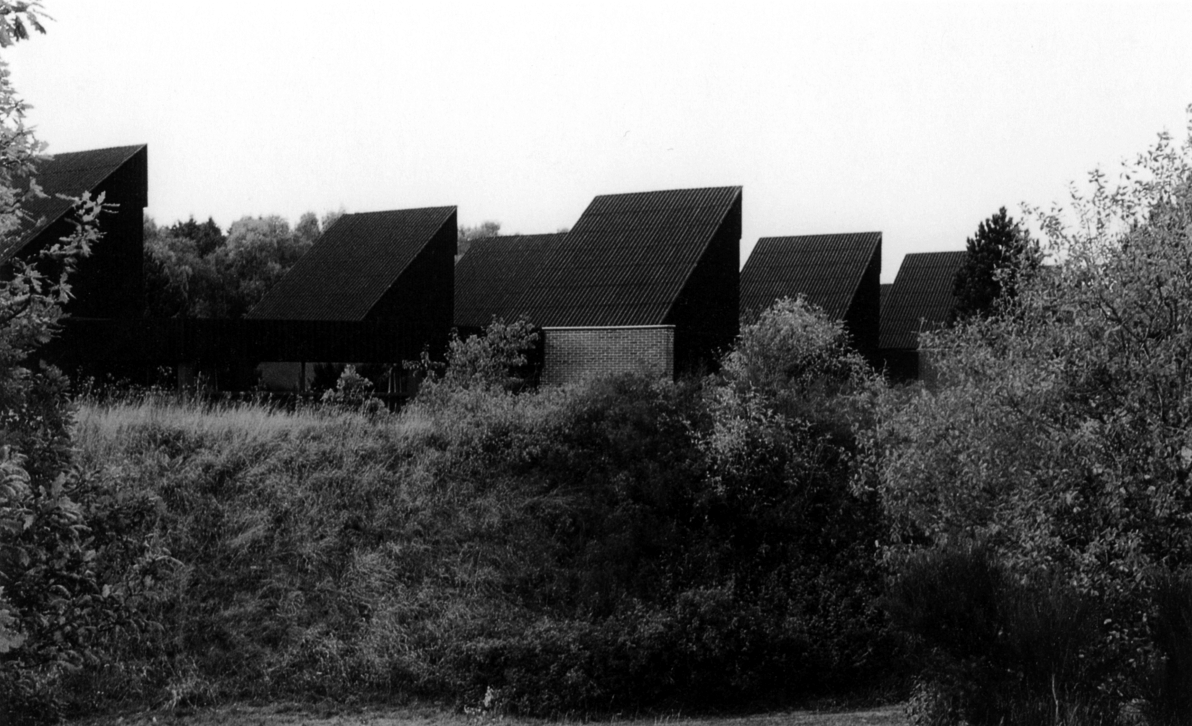 Silkeborg Amtsgymnasium