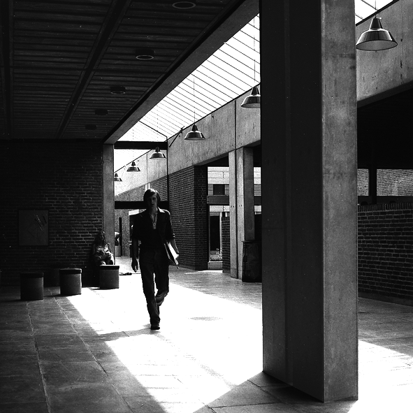 Vejlby-Risskov Amtsgymnasium