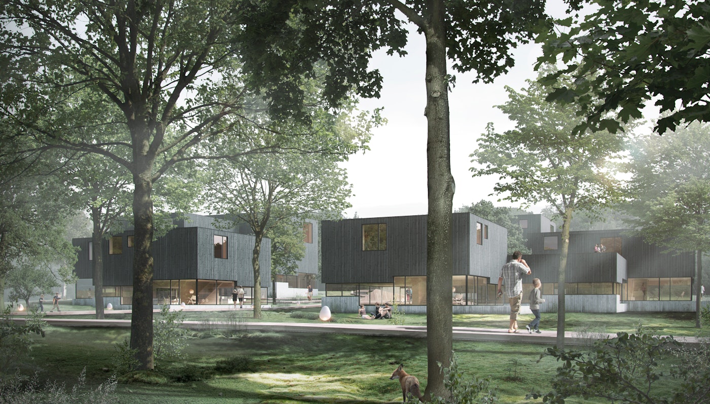 The Clusters in the Forest, Aarhus