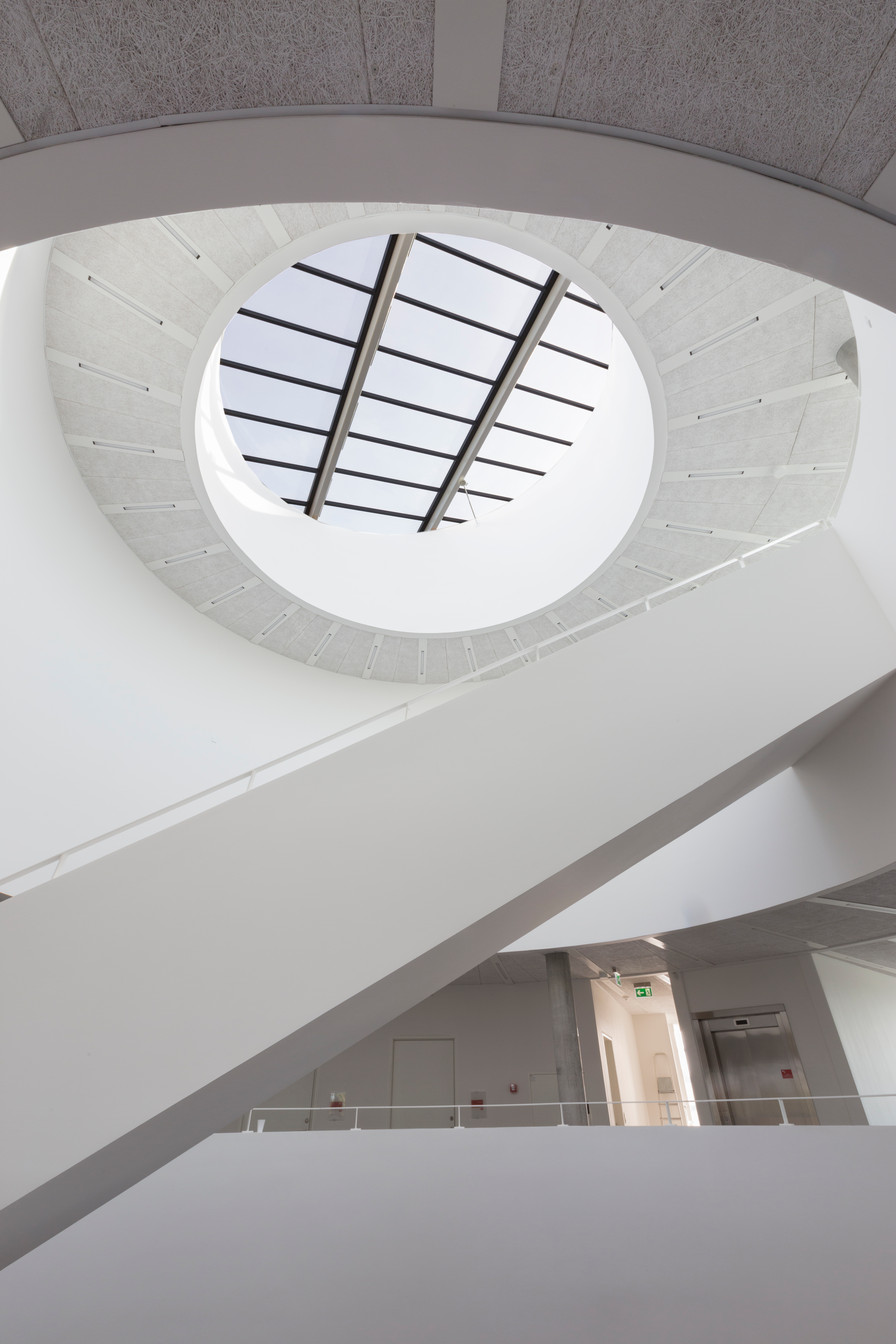 Faglokaler, Viden Djurs