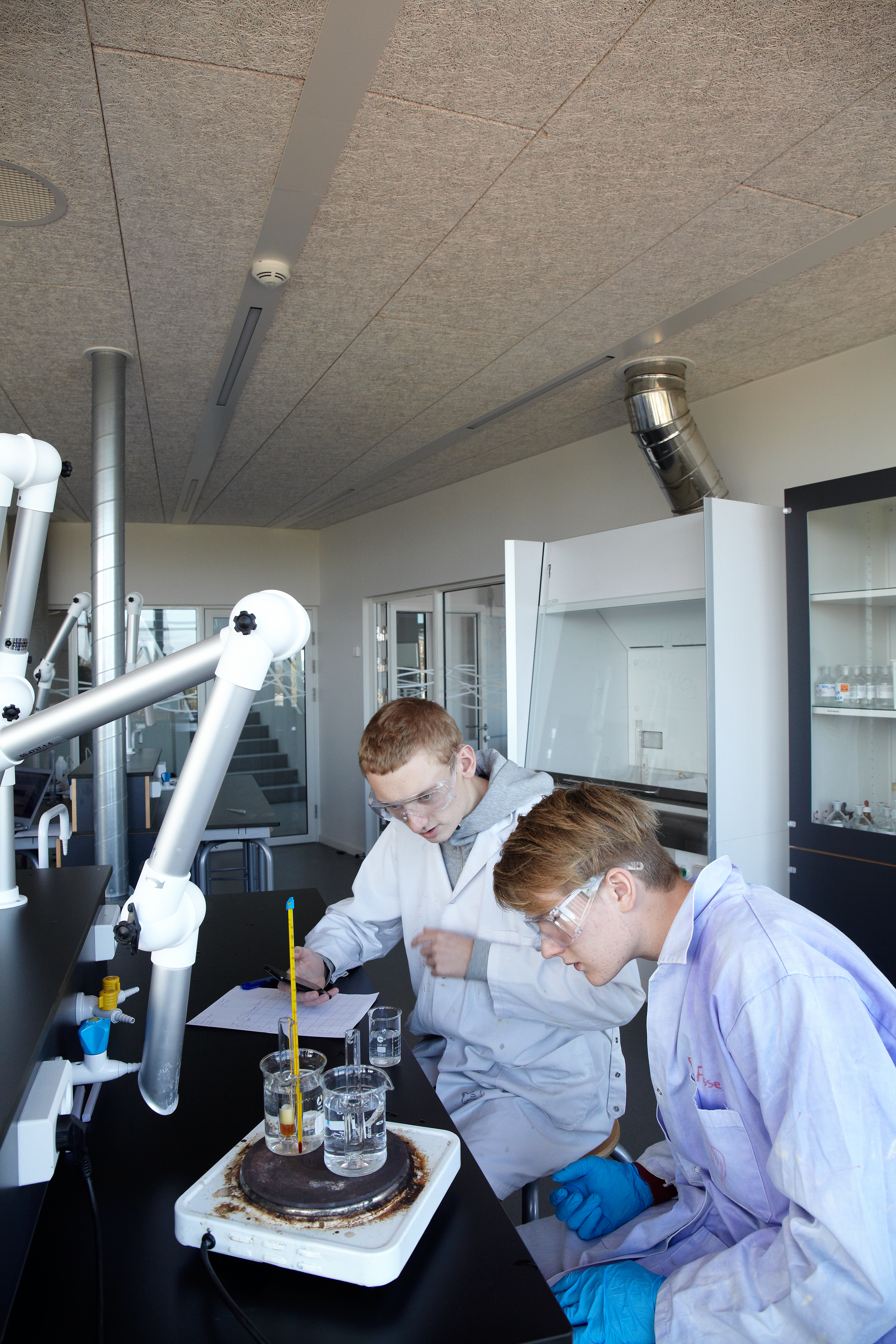 Faglokaler, Viden Djurs