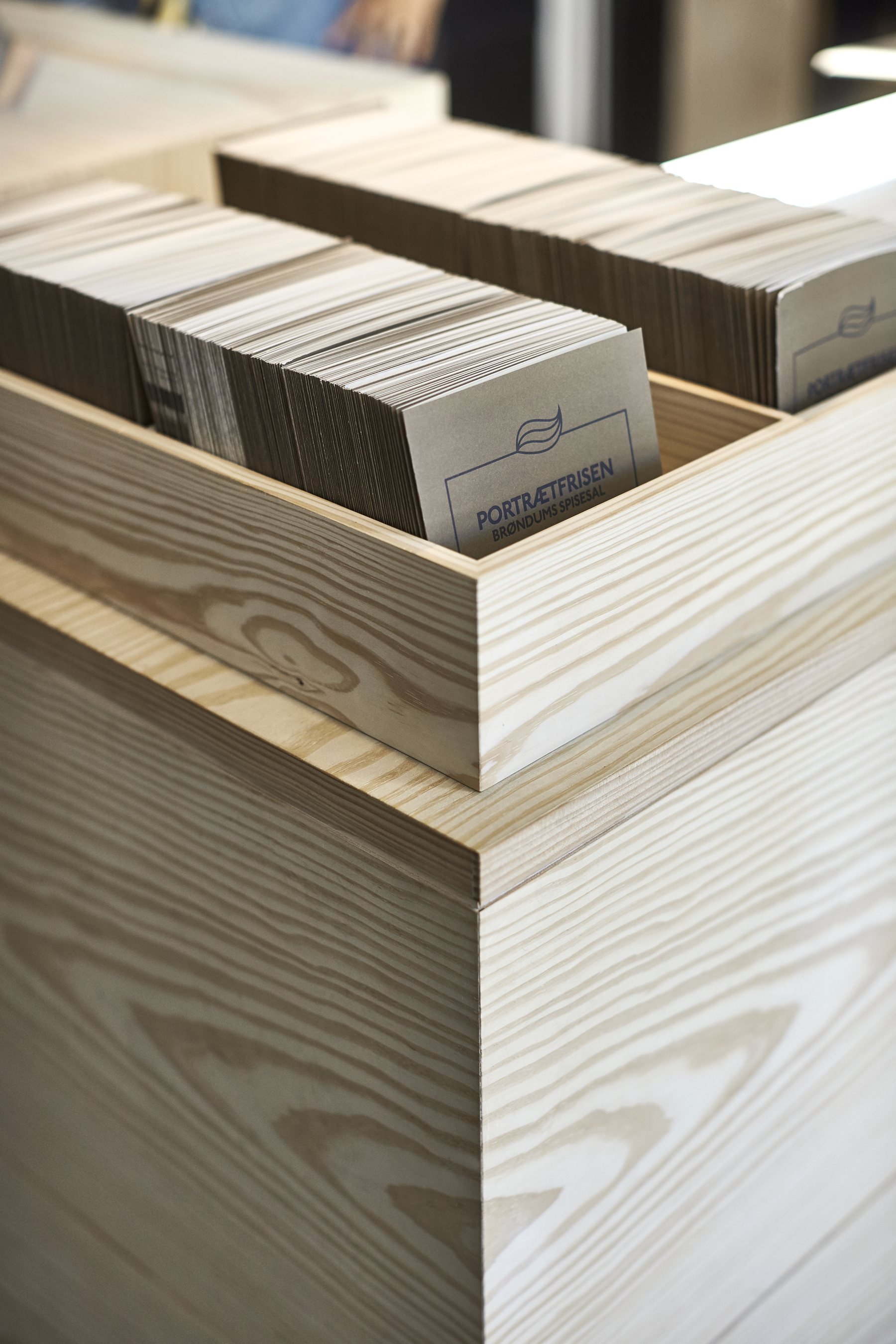 Interiør, Skagens Museum